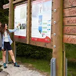 Sauerland Stern 4*