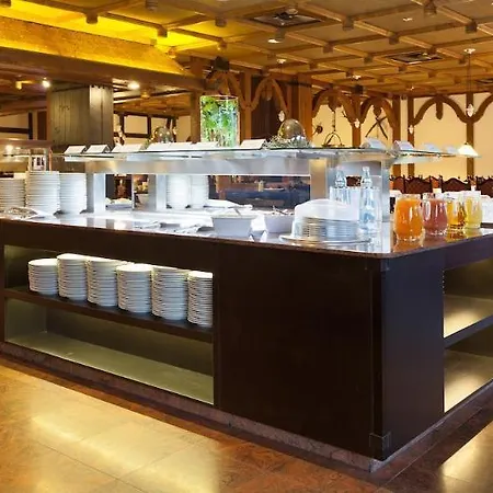 赛尔兰德斯特恩酒店 酒店 维林根