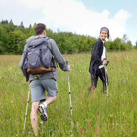 Sauerland Stern Hotel Willingen (Upland)