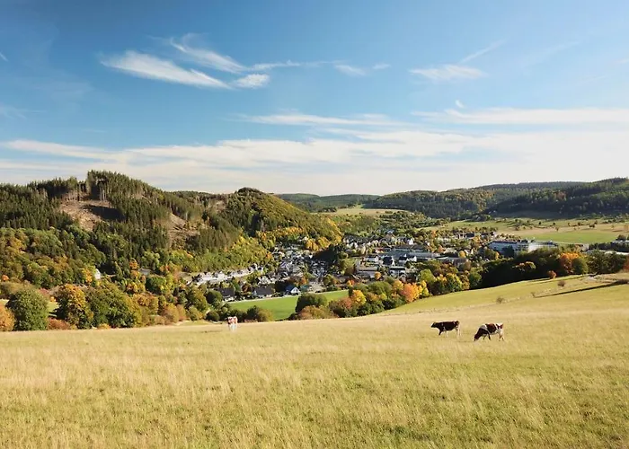 Sauerland Stern Willingen (Upland)