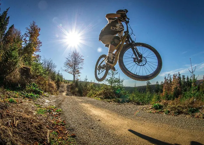 자우어란트 스턴 빌링겐