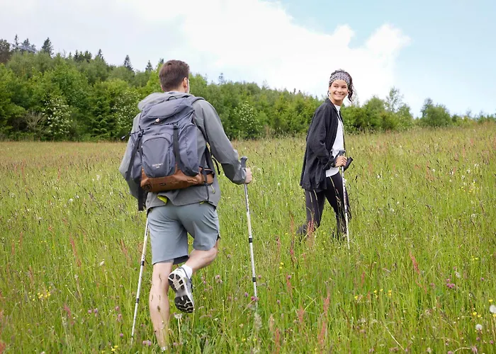 자우어란트 스턴 호텔 빌링겐